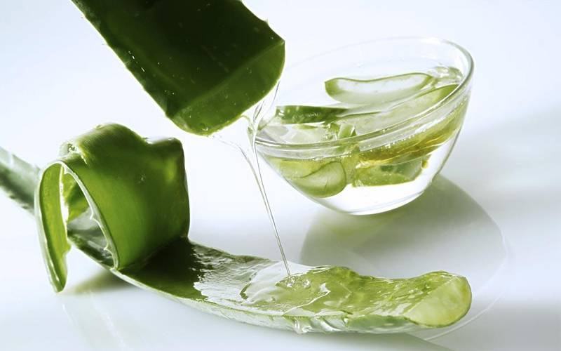 Cách làm hết thâm quầng mắt sau 1 đêm bằng nha đam