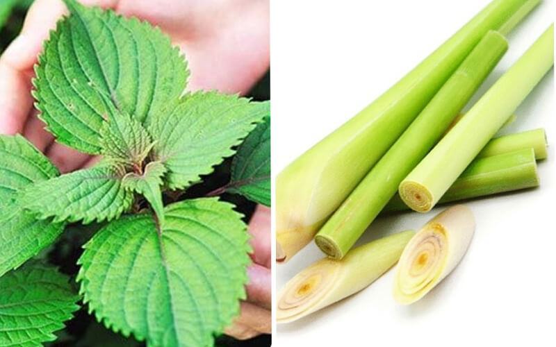 Cách xông mặt bằng lá tía tô và sả