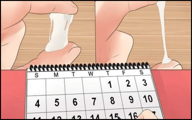 Thời gian rụng trứng ở phụ nữa có thể kéo dài từ 5-7 ngày