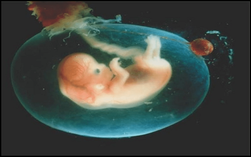 Bị vỡ nước ối là dấu hiệu sắp sinh trước 2 ngày 