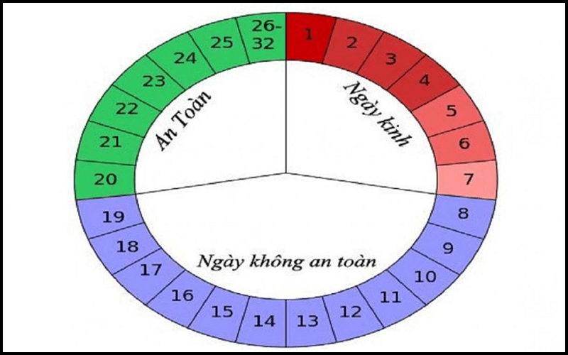 Chu kỳ kinh nguyệt là thời gian rụng trứng ở nữ giới