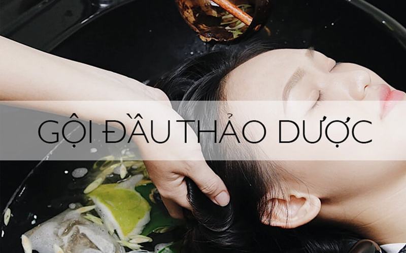 Gội đầu thảo dược