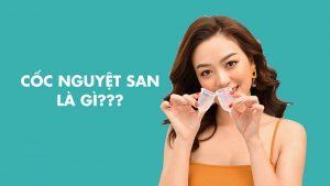Cốc nguyệt san là gì