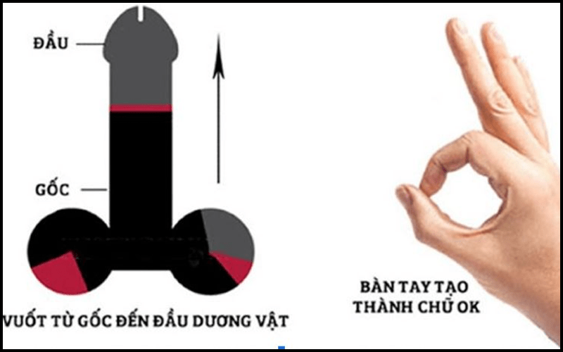 Cách tăng kích thước dương vật thông qua kéo giãn cơ xoay