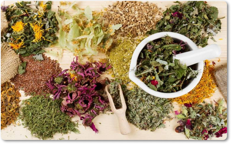 Thuốc thường được chiết xuất từ ​​các thành phần tự nhiên