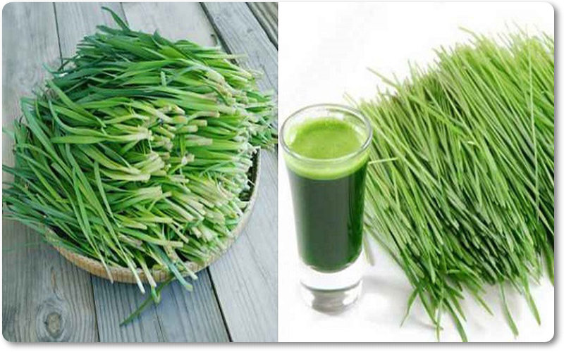 Chữa xuất tinh sớm tại nhà bằng uống nước lá hẹ