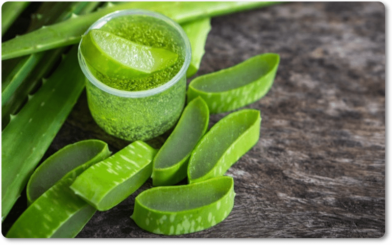 Nhựa nha đam cũng có thể được sử dụng như một loại gel dưỡng ẩm giúp cuộc yêu thêm thăng hoa.