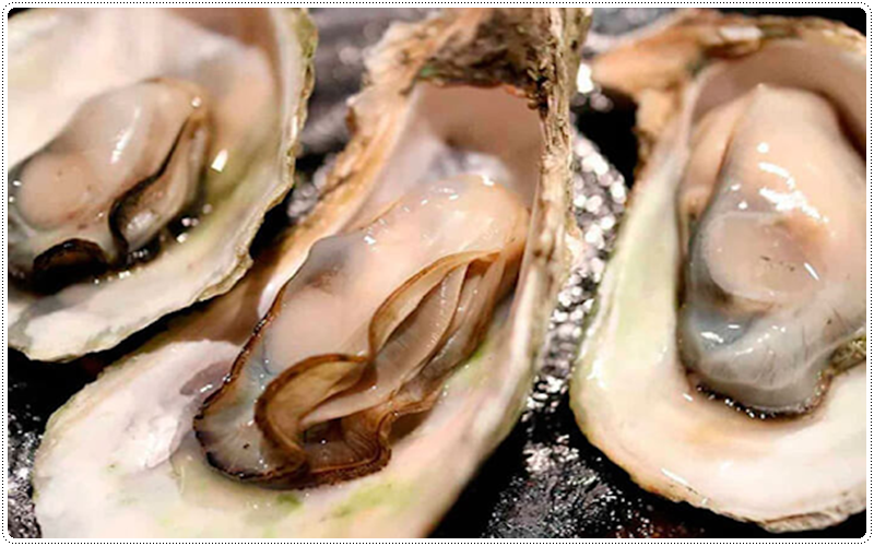 Thịt hàu có vị ngọt, hơi mặn, tính mát, không độc, có tác dụng dưỡng huyết, dưỡng can, ích tinh