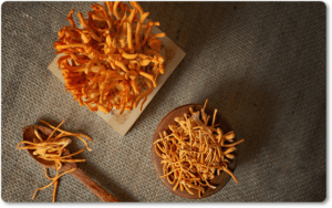 Đông trùng hạ thảo chữa yếu sinh lý