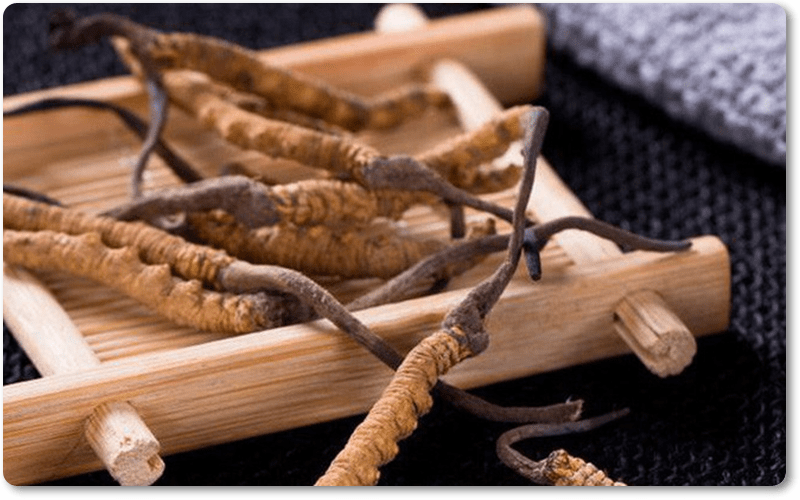 thảo dược có tác dụng bổ trợ rất tốt trong việc hỗ trợ điều trị các bệnh liên quan đến thận