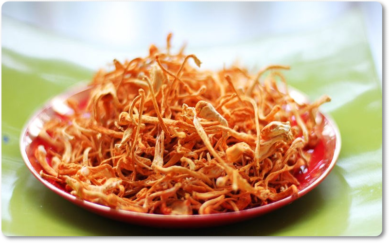 quá nhiều thảo dược sẽ gây tác dụng ngược và ảnh hưởng đến sức khỏe.