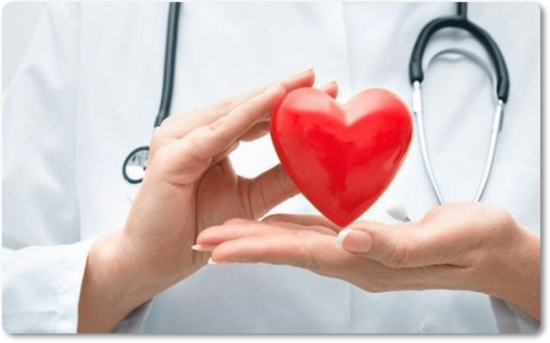 Đậu nành là một loại thực phẩm tốt cho tim mạch vì chúng có khả năng làm giảm lượng cholesterol