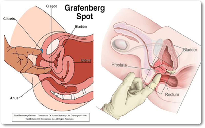 Cậu bé có thể vào sâu bao nhiêu?