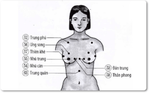 Bấm huyệt tăng vòng 1